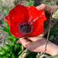 🌼 Handgefertigter Metall Blumen-Gartenstecker 🐦 Vogeltränke & Insekten-Trinkstelle, Wetterfest Gartendekoration für Beet, Wege & Außenbereich, Einzigartiges Deko Geschenk