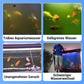 🚀Kaufen 5 und erhalten 5 gratis♻️💧Leistungsstarke Wasserreinigungstablette für Aquarien