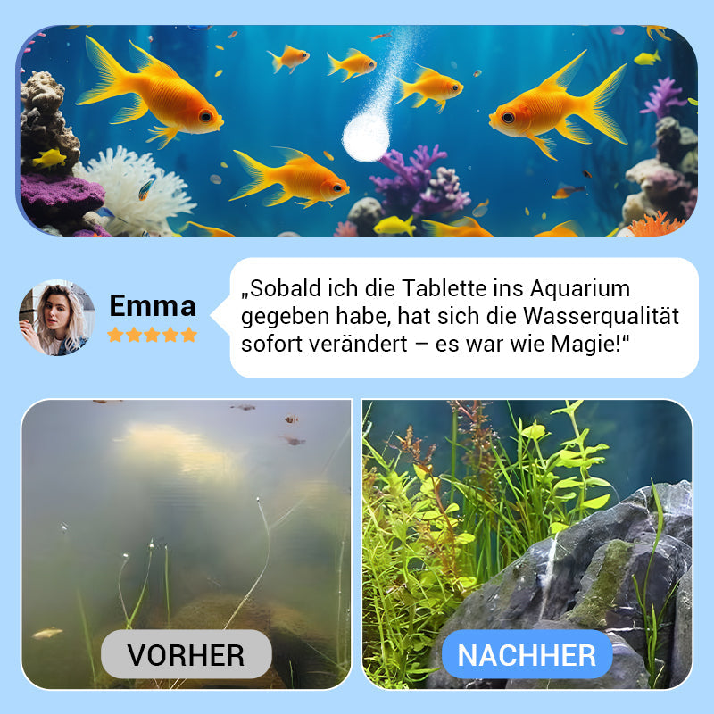 🚀Kaufen 5 und erhalten 5 gratis♻️💧Leistungsstarke Wasserreinigungstablette für Aquarien