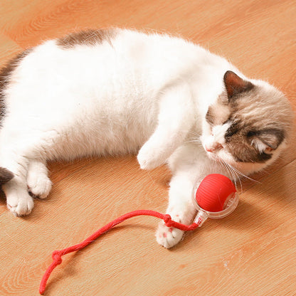 😽🔥 Automatisch rollender intelligenter Haustierball