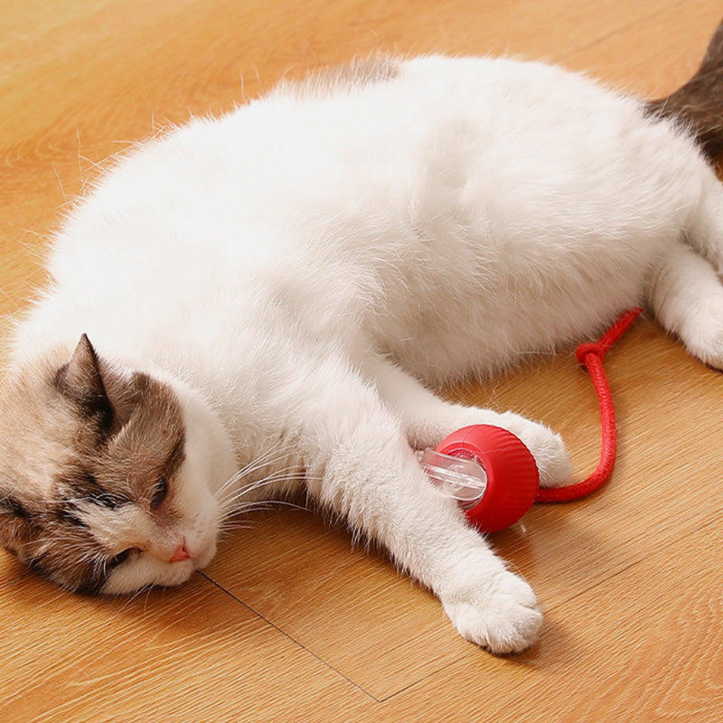 😽🔥 Automatisch rollender intelligenter Haustierball