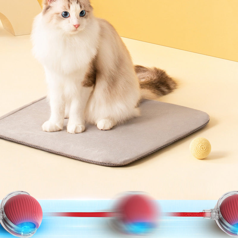 😽🔥 Automatisch rollender intelligenter Haustierball