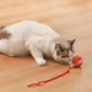 😽🔥 Automatisch rollender intelligenter Haustierball