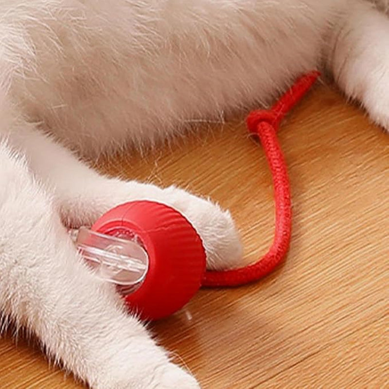 😽🔥 Automatisch rollender intelligenter Haustierball