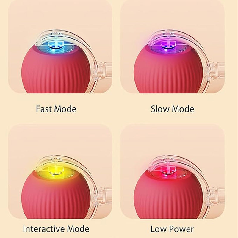 😽🔥 Automatisch rollender intelligenter Haustierball
