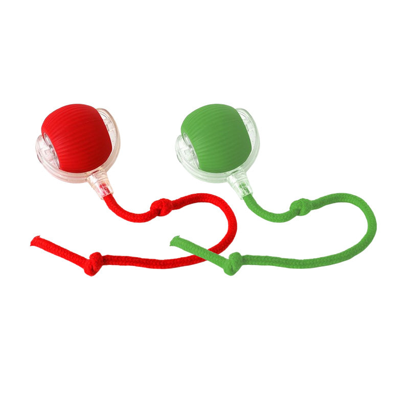 😽🔥 Automatisch rollender intelligenter Haustierball